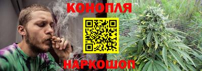 стафф Анжеро-Судженск