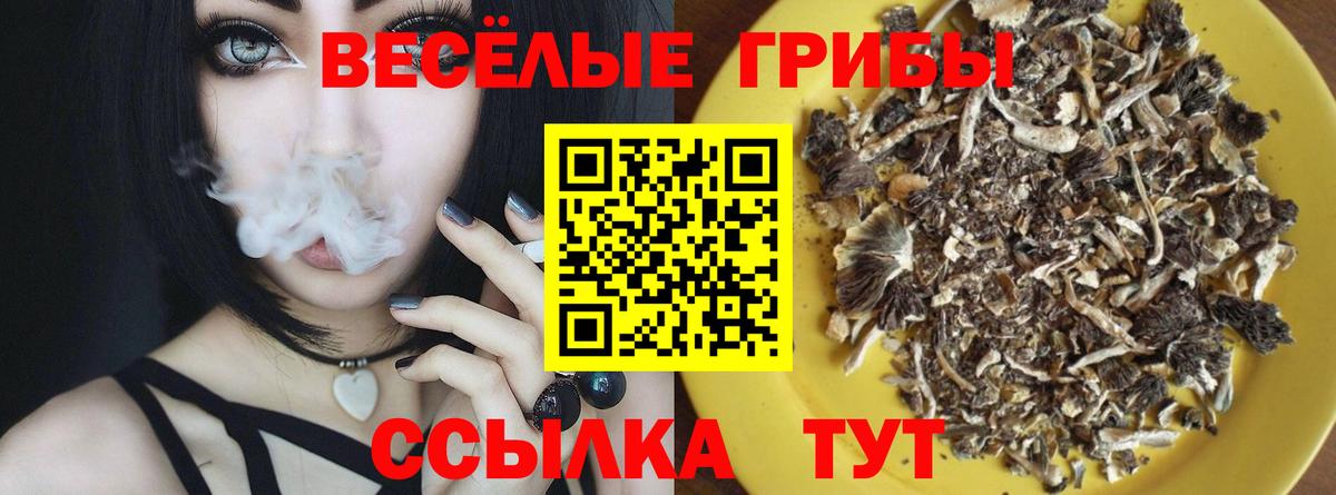 Саянск  где купить наркоту  Вход с VPN  Галлюциногенные грибы MAGIC MUSHROOMS 