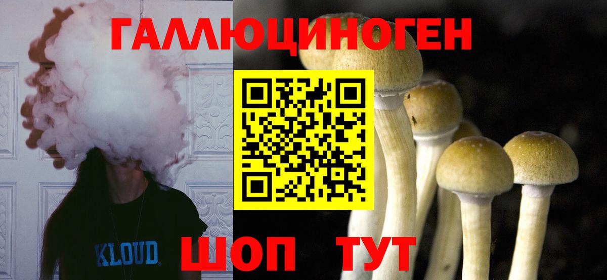 Псилоцибиновые грибы GOLDEN TEACHER Саянск